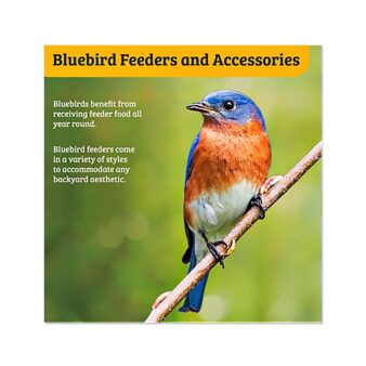 Bluebird Single Cup Feeder, available at The Audubon Shop, the best shop for birdwatchers, Madison CT