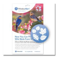 WindowAlert Leaf Medley Decal Envelope, available at The Audubon Shop, the best shop for birdwatchers, Madison CT
