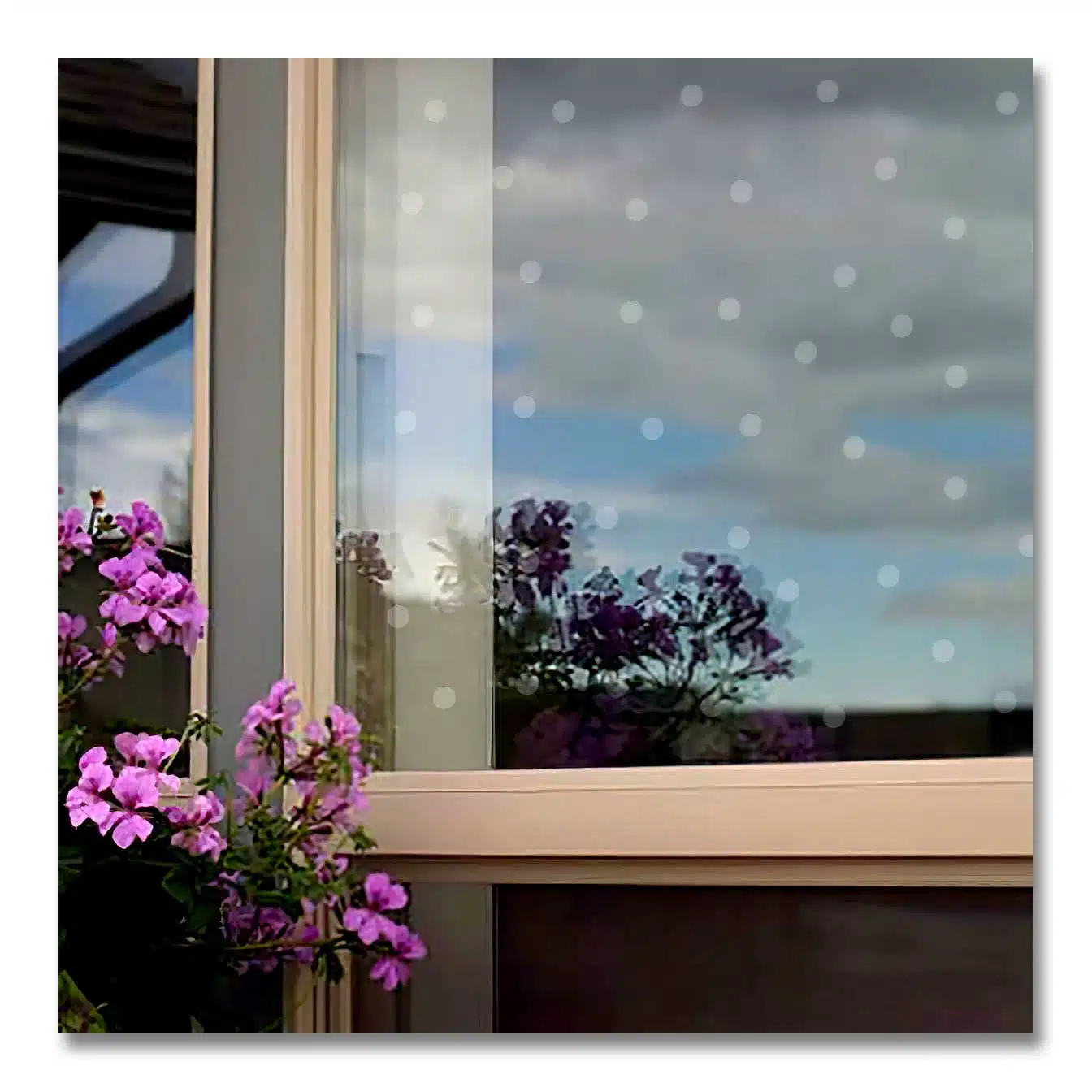 WindowAlert UV Liquid What We See, What Birds See, available at The Audubon Shop, the best shop for birdwatchers, Madison CT