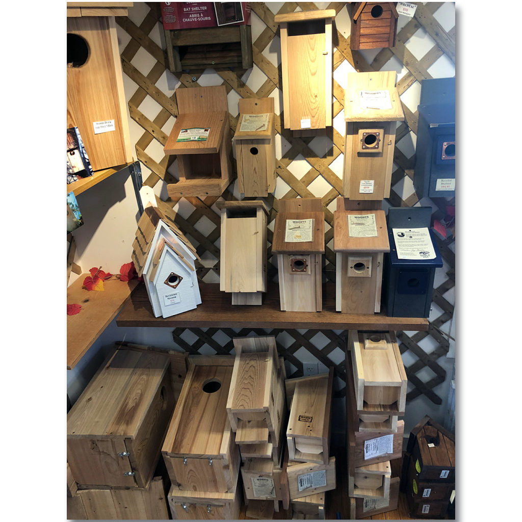 Bird Nesting Boxes, available at The Audubon Shop, the best shop for birdwatchers, Madison CT