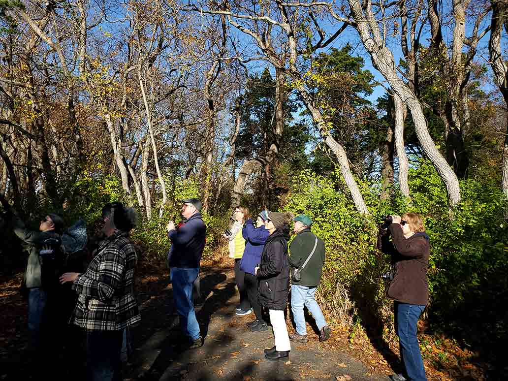 Listening for birds on a bird walk, the best shop for bird watchers, Madison CT