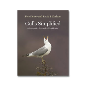 Gulls Simplified, available at The Audubon Shop, the best shop for birdwatchers, Madison CT