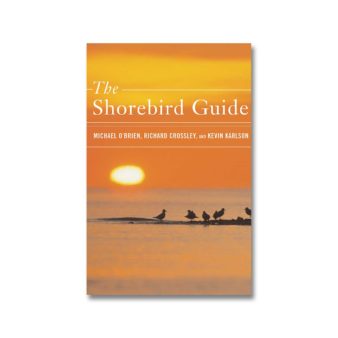 The Shorebird Guide, available at The Audubon Shop, the best shop for birdwatchers, Madison CT