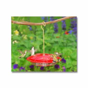 Aspects Hummzinger Ultra Hummingbird Feeder, available at The Audubon Shop, the best shop for birdwatchers, Madison CT