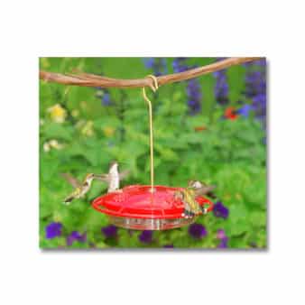 hummingbird feeder hummzinger theaudubonshop