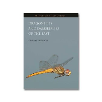 Dragonflies and Damselflies of the East, available at The Audubon Shop, the best shop for nature enthusiasts, Madison CT