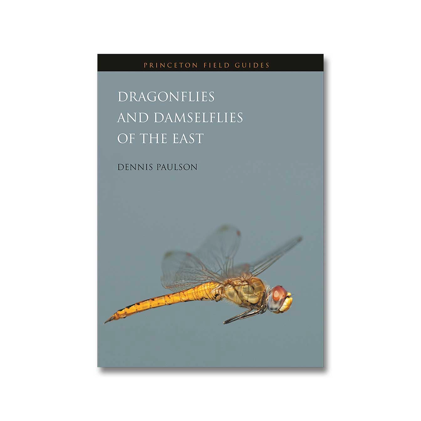 Dragonflies and Damselflies of the East, available at The Audubon Shop, the best shop for nature enthusiasts, Madison CT