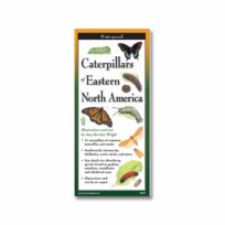 Folding Field Guide Caterpillars of Eastern North America, available at The Audubon Shop, the best shop for birdwatchers, Madison CT