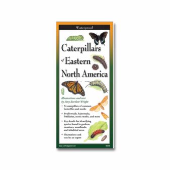 Folding Field Guide Caterpillars of Eastern North America, available at The Audubon Shop, the best shop for birdwatchers, Madison CT