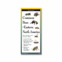 Folding Field Guide Common Bees of Eastern North America, available at The Audubon Shop, the best shop for bird watchers, Madison CT