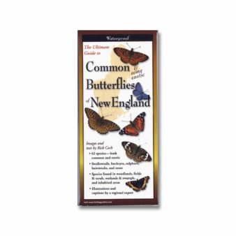 Folding Field Guide Common Butterflies of New England, available at The Audubon Shop, the best shop for nature lovers, Madison CT 