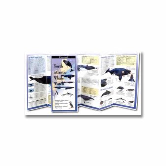 Folding Field Guide: North Atlantic Whale Watch, available at The Audubon Shop, the best shop for nature lovers, Madison CT