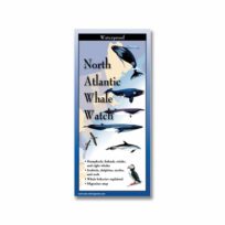 Folding Field Guide: North Atlantic Whale Watch, available at The Audubon Shop, the best shop for nature lovers, Madison CT