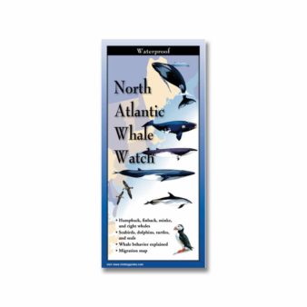 Folding Field Guide: North Atlantic Whale Watch, available at The Audubon Shop, the best shop for nature lovers, Madison CT