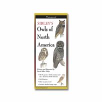 Folding Field Guide: Sibley's Owls of North America, available at The Audubon Shop, the best shop for bird watchers, Madison CT