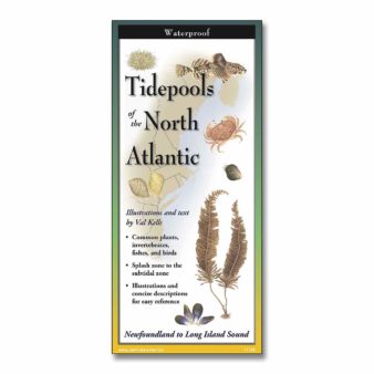 Folding Field Guide, Tidepools of the Atlantic, available at The Audubon Shop, the best shop for bird watchers, Madison CT