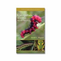 Caterpillars of Eastern North America, available at The Audubon Shop, the best shop for nature lovers, Madison CT