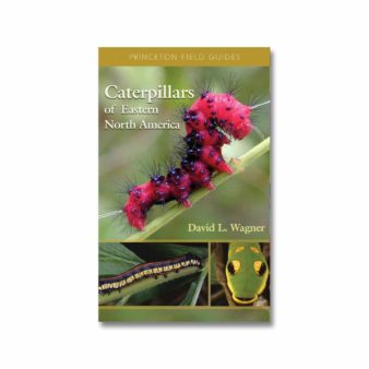 Caterpillars of Eastern North America, available at The Audubon Shop, the best shop for nature lovers, Madison CT