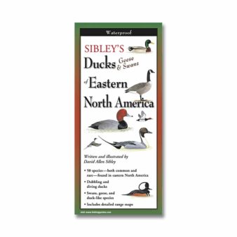 Folding Field Guide: Sibley's Ducks, Geese and Swans of Eastern North America, available at The Audubon Shop, the best shop for birdwatchers, Madison CT