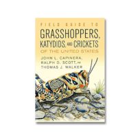 Grasshoppers, Katydids and Crickets of The United States, available at The Audubon Shop, the best shop for bird watchers, Madison CT