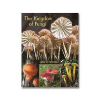 The Kingdom of Fungi, available at The Audubon Shop, the best shop for bird watchers, Madison CT