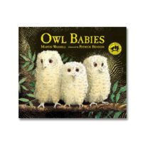 Owl Babies, available at The Audubon Shop, the best shop for bird watchers, Madison CT 