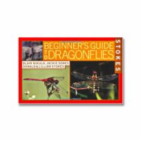 Stokes Beginner's Guide to Dragonflies, available at The Audubon Shop, the best shop for bird watchers, Madison CT