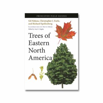 Trees of Eastern North America, available at The Audubon Shop, the best shop for bird watchers, Madison CT