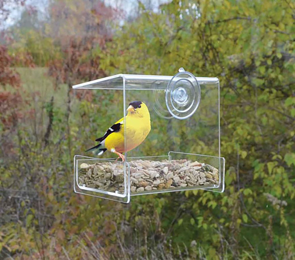 Clear View Mini Window Bird Feeder, available at The Audubon Shop, he best shop for bird watchers, Madison CT 
