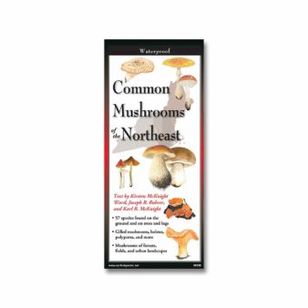 Folding Field Guide, Common Mushrooms of the Northeast, available at The Audubon Shop, the best shop for nature lovers, Madison CT