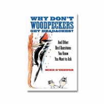 Why Don't Woodpeckers Get Headaches, available at The Audubon Shop, the best shop for bird watchers, Madison CT
