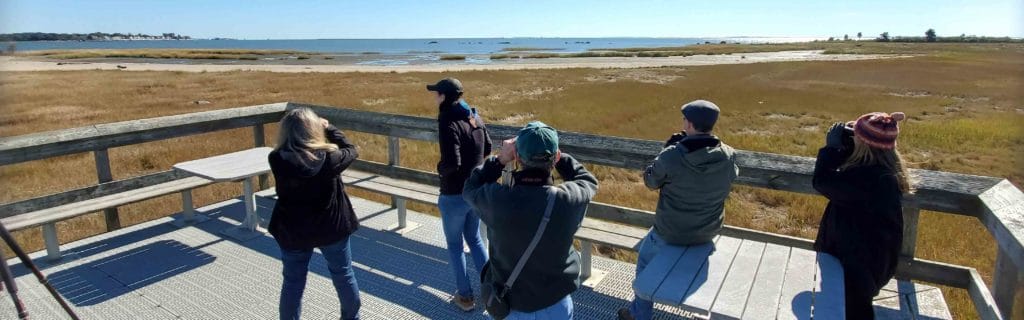 Bird Walk at Hammonasset, with The Audubon Shop, the best shop for bird watchers, Madison CT 