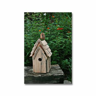 Bluebird Manor Nesting Box Natural Color, available at The Audubon Shop, the best shop for bird watchers, Madison CT