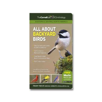 All About Backyard Birds Eastern and Central North America, available at The Audubon Shop, the best shop for bird watchers, Madison CT