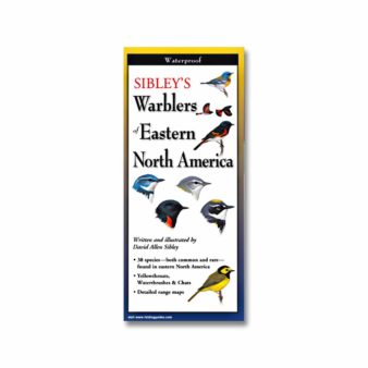 Folding Field Guide - Sibley's Woodpeckers of North America, available at The Audubon Shop, the best shop for bird watchers, Madison CT 