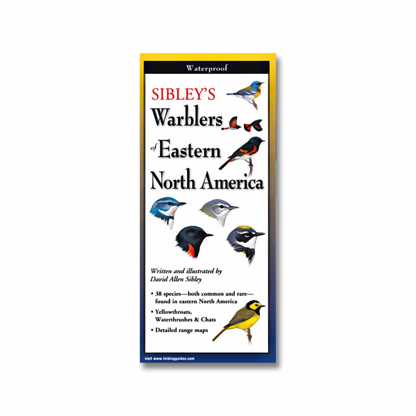The Sibley Field Guide to Birds of Eastern North America 