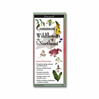 Folding Field Guide - Wildflowers of the Northeast, available at The Audubon Shop, the best shop for nature lovers, Madison CT