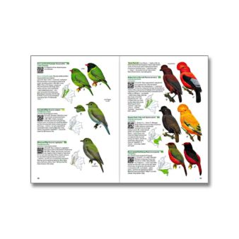 Birds of Colombia, available at The Audubon Shop, the best shop for birders, Madison CT