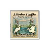 Jabebo Snowy Egret Earrings, available at The Audubon Shop, the best shop for bird watchers, Madison CT