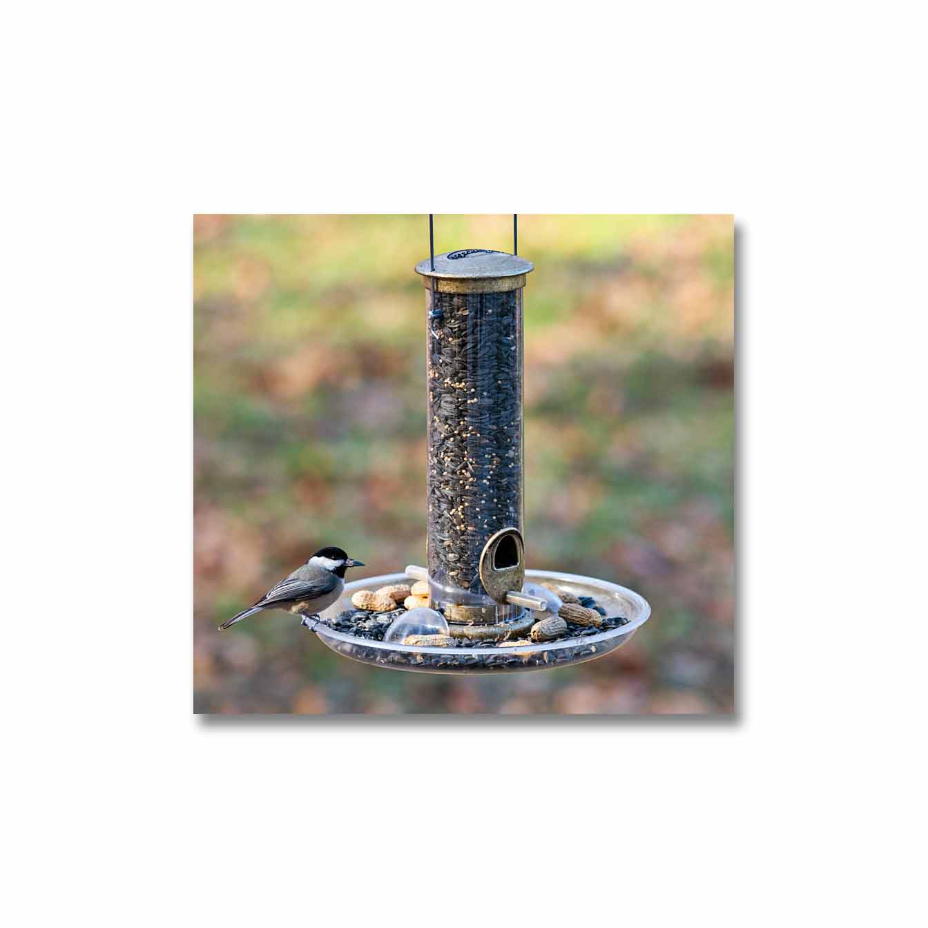Aspects® Quick Clean Small Sunflower Bird Feeder · The Audubon Shop