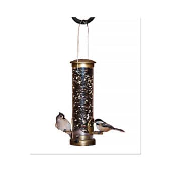 Aspects Quick Clean Small Sunflower Bird Feeder available at The Audubon Shop, the best shop for bird feeders, Madison CT