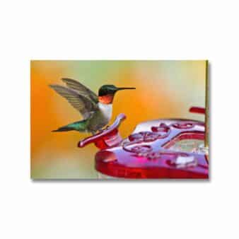 HighView Square Hummingbird Feeder, available at The Audubon Shop, the best shop for bird watchers, Madison CT