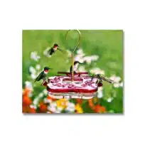 HighView Square Hummingbird Feeder, available at The Audubon Shop, the best shop for bird watchers, Madison CT