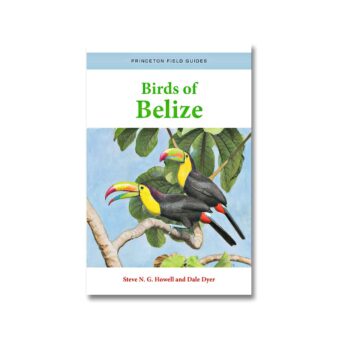 Birds of Belize 2023, available at The Audubon Shop, the best shop for bird watchers, Madison CT