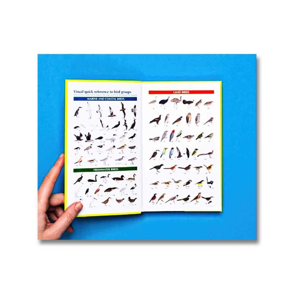 Pocket Guide to Birds of Australia