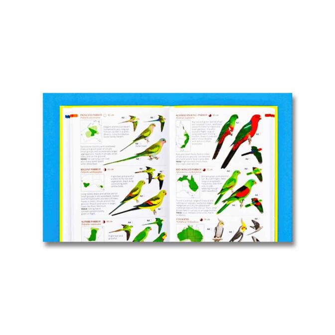Pocket Guide to Birds of Australia