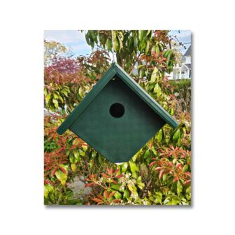 Recycled Plastic Wren House, available at The Audubon Shop, the best shop for bird watchers, Madison CT