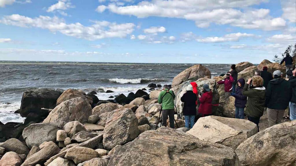 Fall Bird Walks at Hammonasset, available at The Audubon Shop for bird watchers, Madison CT