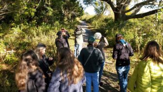 Fall Bird Walks at Hammonasset, available at The Audubon Shop for bird watchers, Madison CT