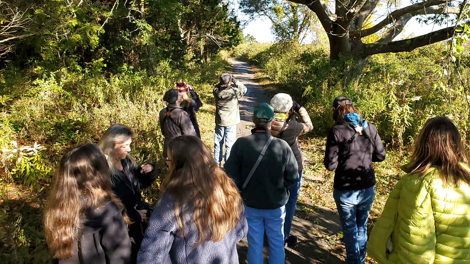 Spring Bird Walks at Hammonasset, available at The Audubon Shop for bird watchers, Madison CT